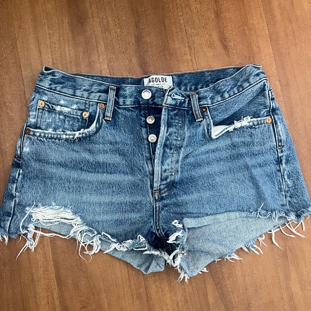 Agolde Parker Vintage Cutoff Short in Swampmeet